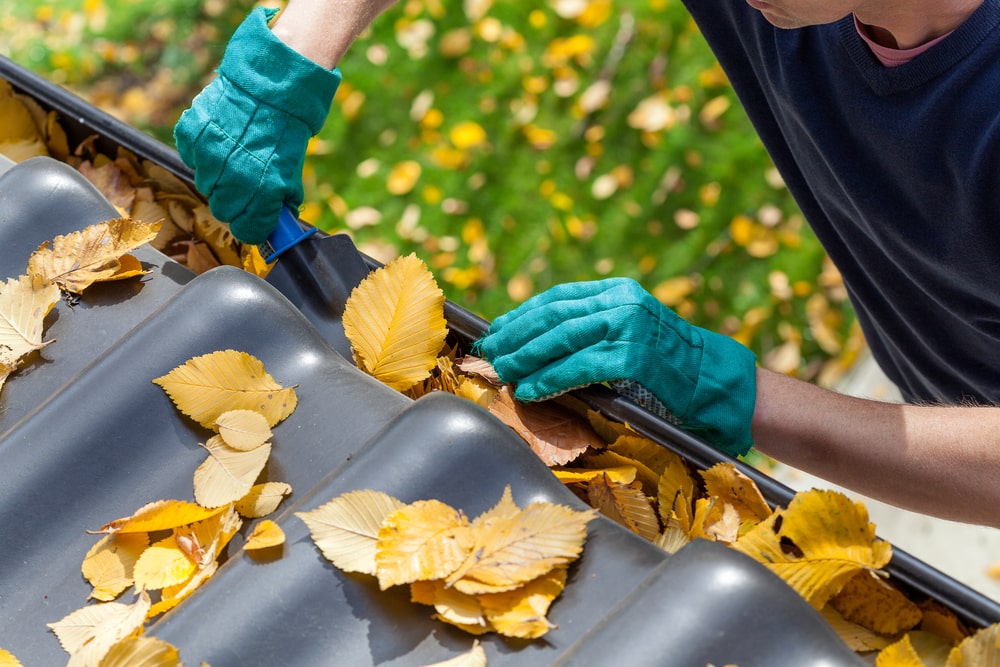 gutter cleaning avon oh