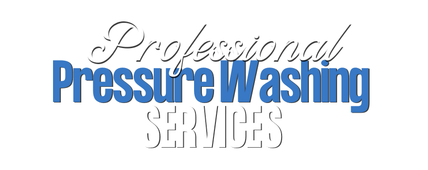 Window Cleaning Blue-min