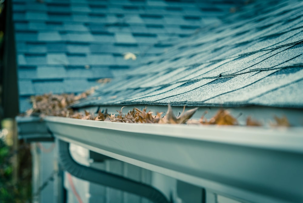clogged gutter